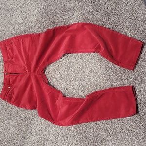 New Rag & Bone Velvet Pants